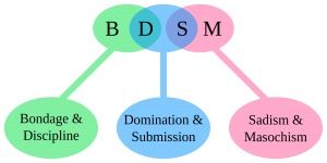 BDSM 101 Presentation
